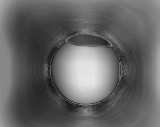 X0000096220696200801181030