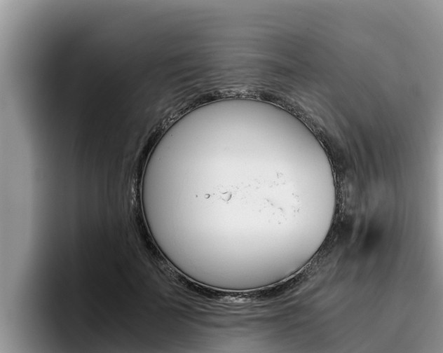 X0000096220699200801181029