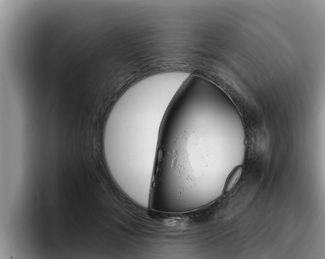 X0000096220700200801181029