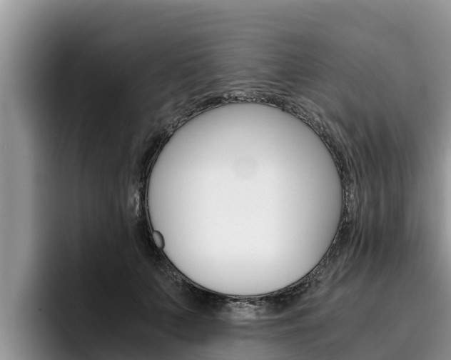 X0000096220703200801181029