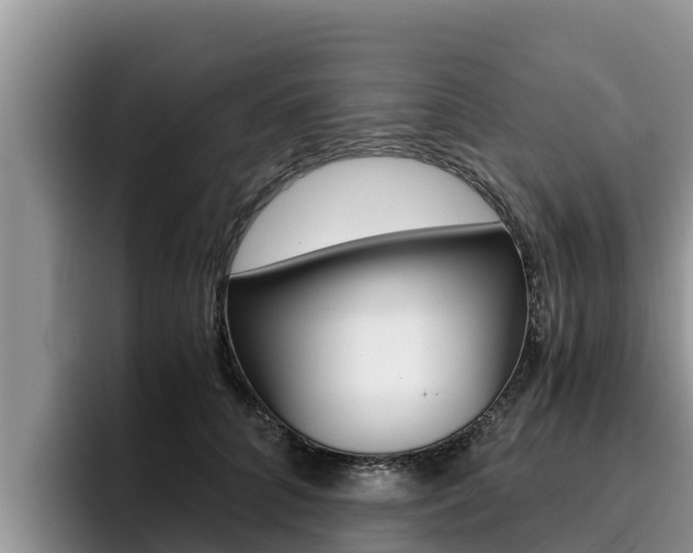 X0000096220704200801181029