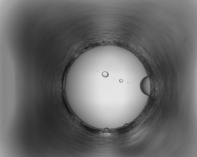 X0000096220706200801181029