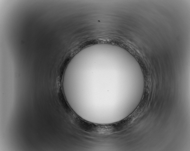 X0000096220707200801181029