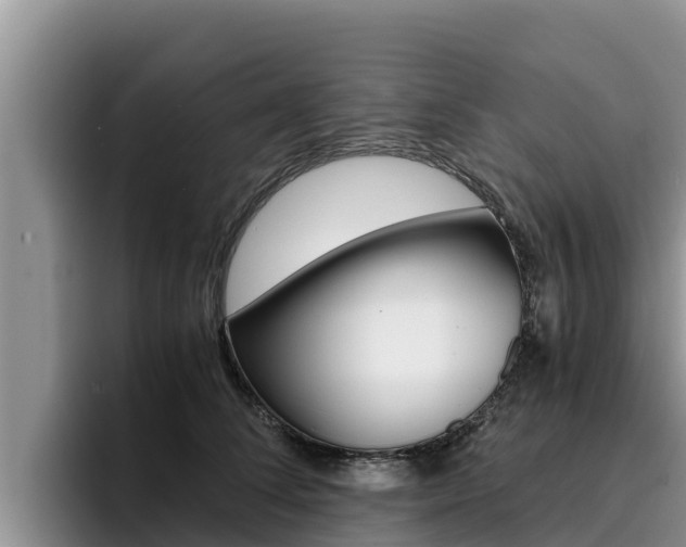 X0000096220708200801181029