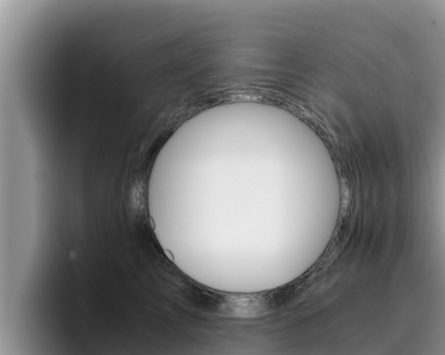 X0000096220713200801181029