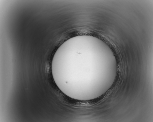 X0000096220715200801181029