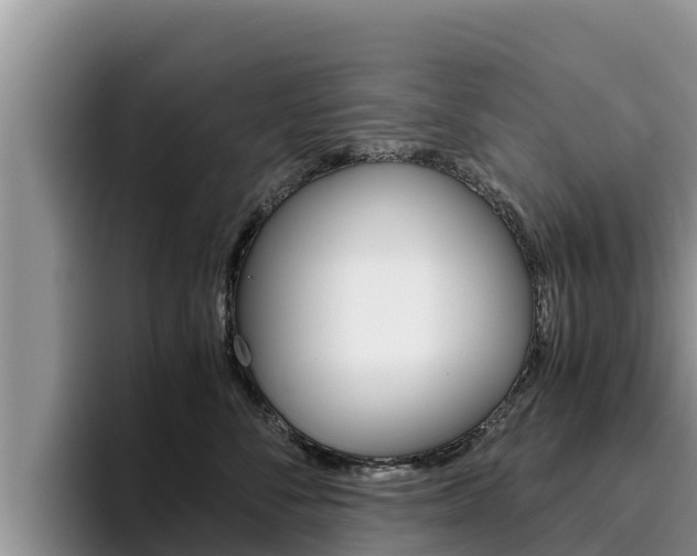 X0000096220716200801181029