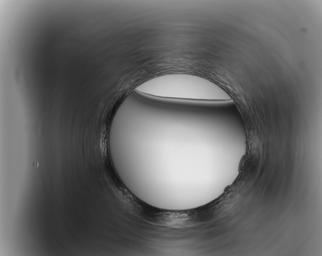 X0000096220719200801181029