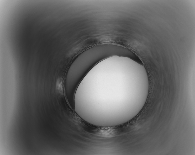 X0000096220720200801181029