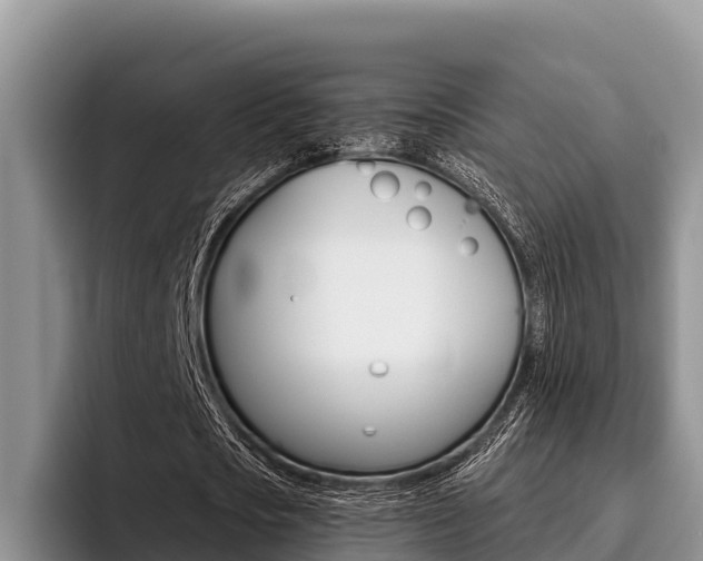 X0000096220721200801181029