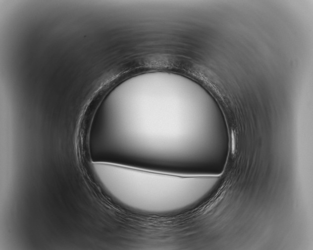 X0000096220723200801181029