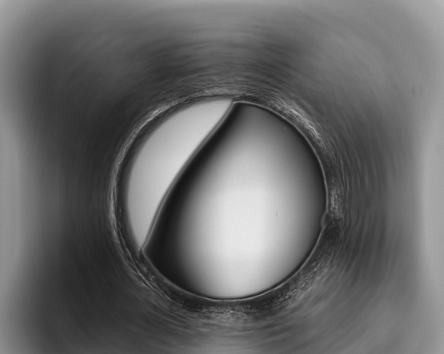 X0000096220724200801181029