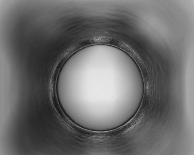 X0000096220725200801181029