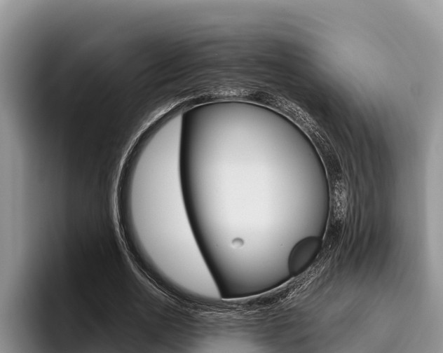 X0000096220726200801181029