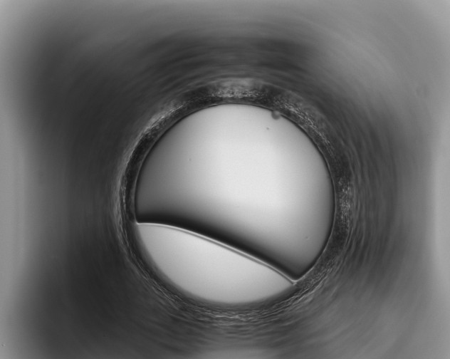 X0000096220727200801181029