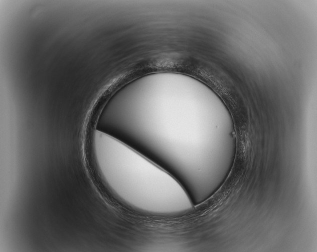 X0000096220728200801181029