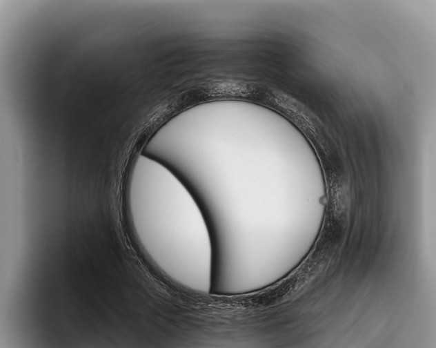 X0000096220729200801181029