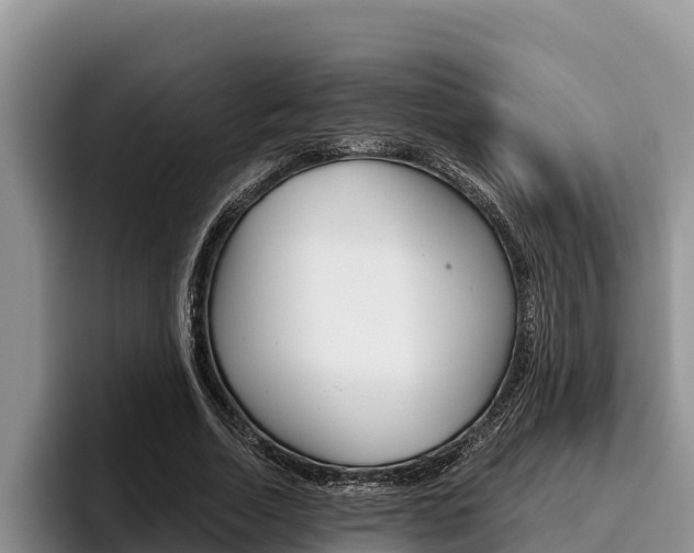 X0000096220730200801181029