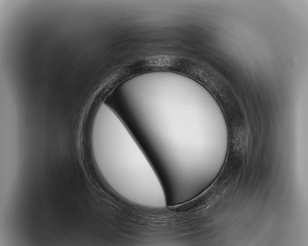 X0000096220731200801181029