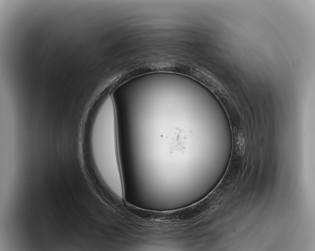 X0000096220732200801181029