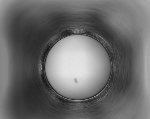 X0000096220733200801181029