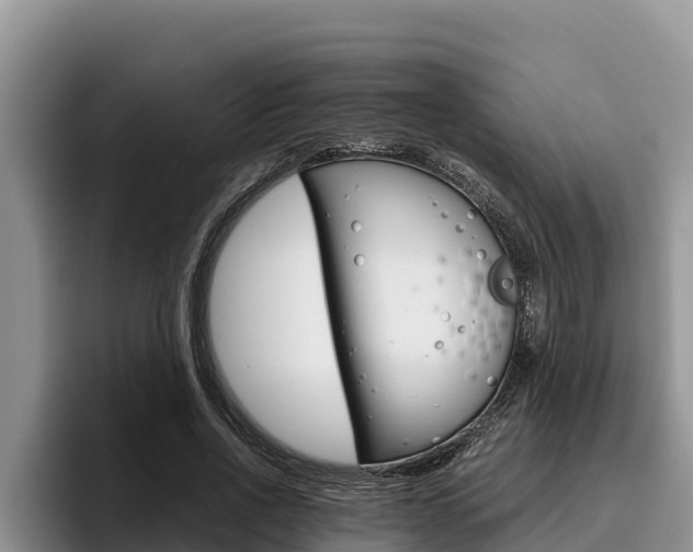 X0000096220734200801181029