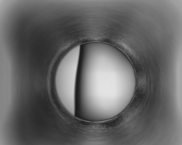 X0000096220736200801181029