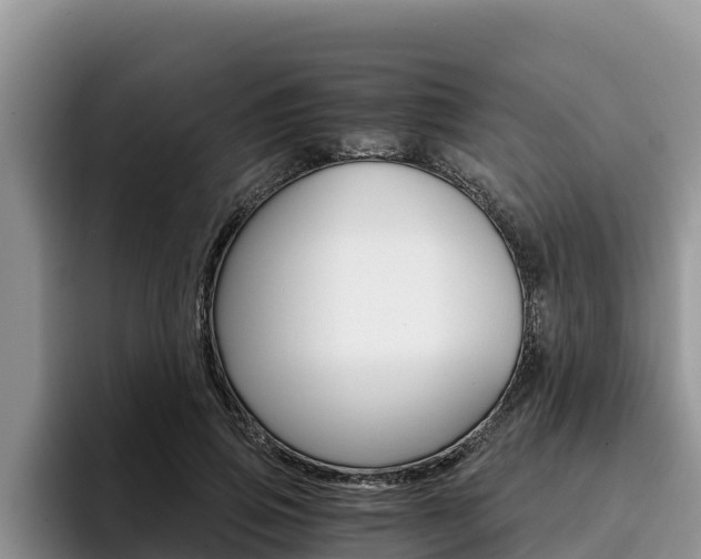 X0000096220741200801181029