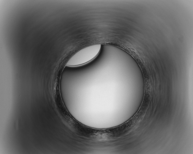 X0000096220742200801181029