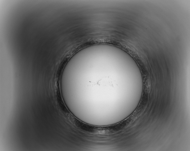 X0000096220746200801181029