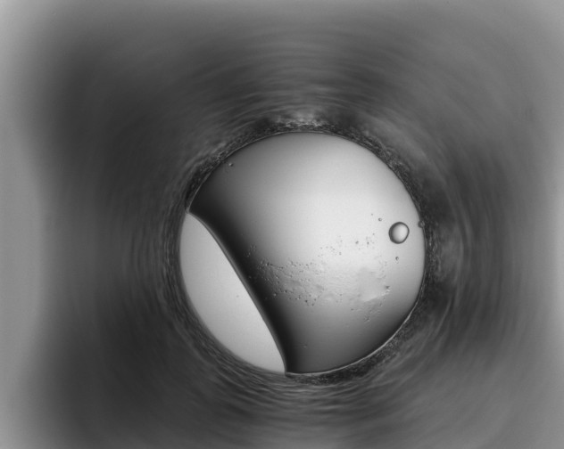 X0000096220747200801181029