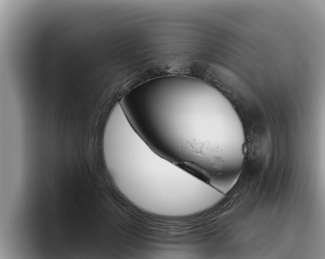 X0000096220748200801181029