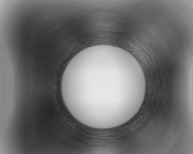 X0000096220750200801181029