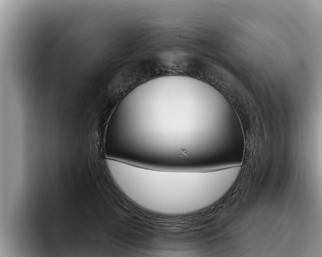 X0000096220752200801181029