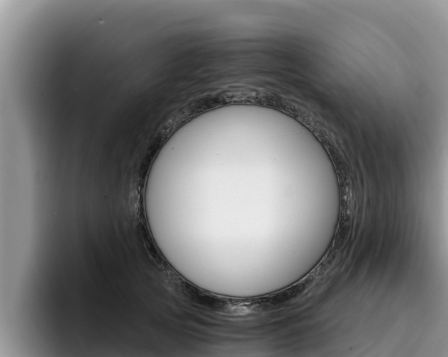 X0000096220753200801181029