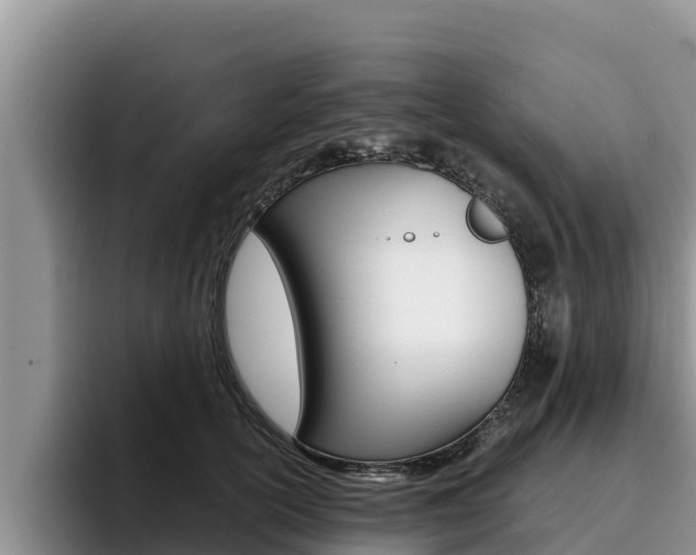 X0000096220754200801181029