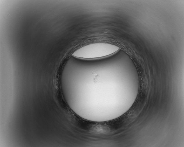X0000096220755200801181029