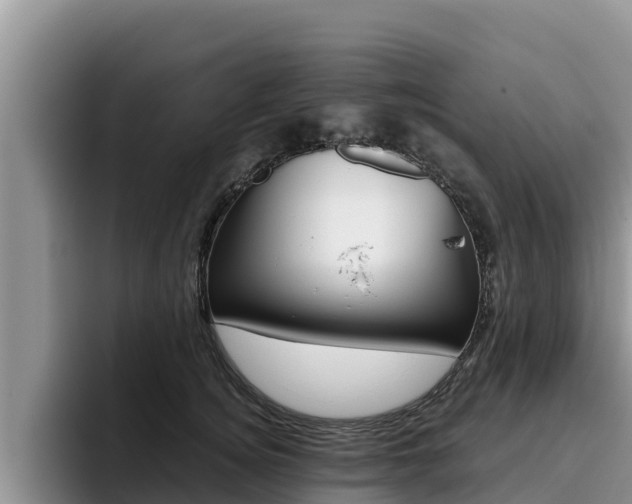 X0000096220756200801181029