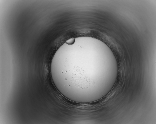 X0000096220758200801181029