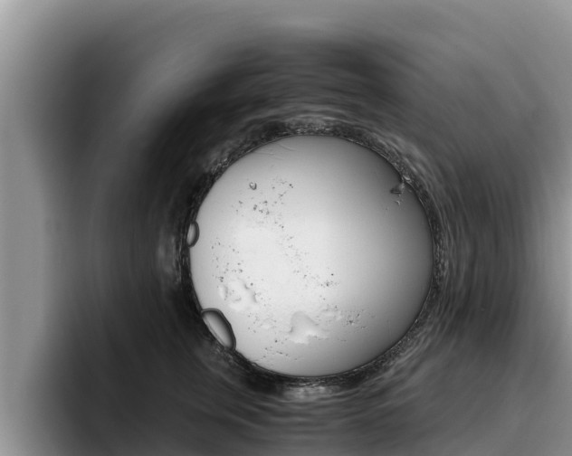 X0000096220759200801181029
