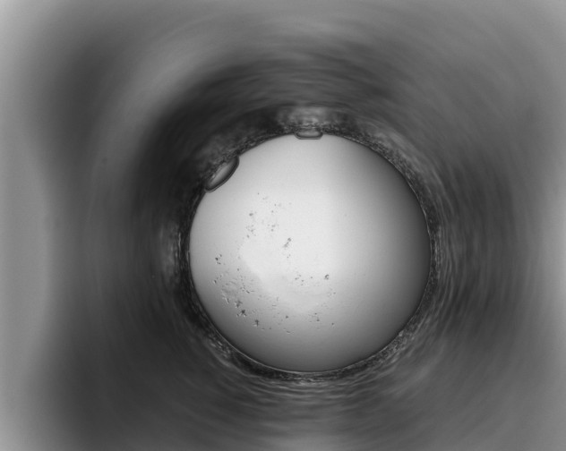 X0000096220760200801181029