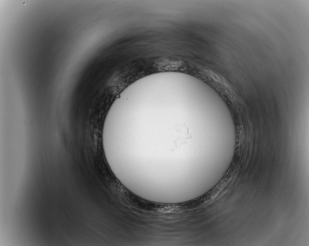 X0000096220761200801181029