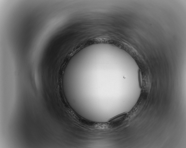 X0000096220762200801181029