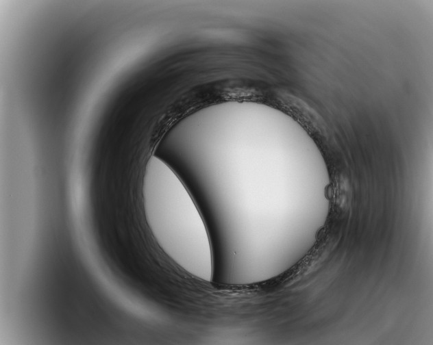 X0000096220763200801181029