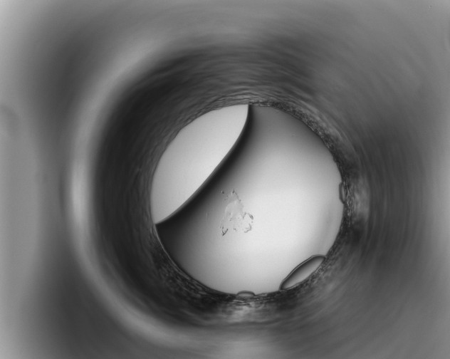X0000096220764200801181029