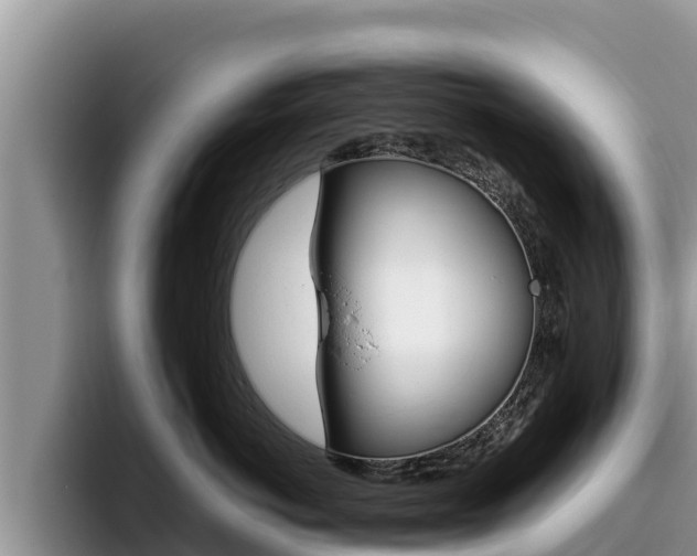 X0000096220766200801181029