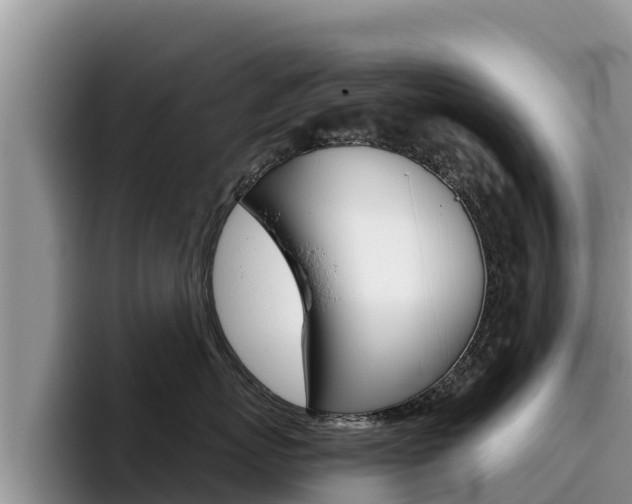 X0000096220767200801181029