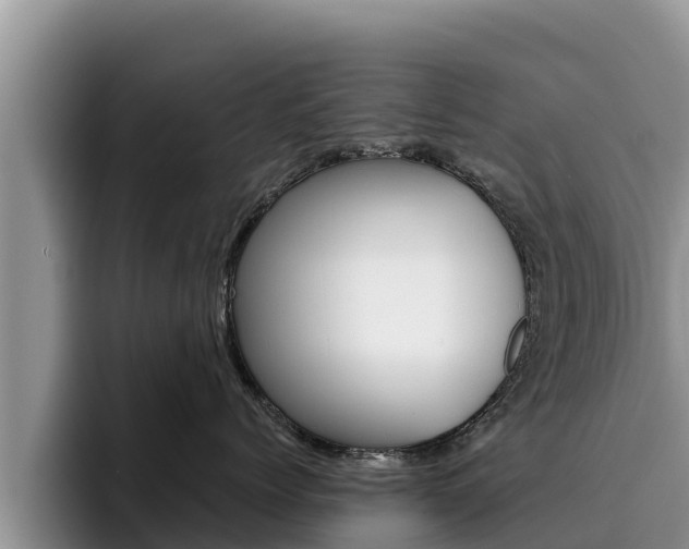 X0000096220768200801181029