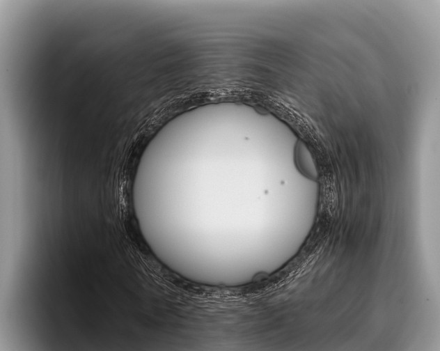 X0000096220770200801181029