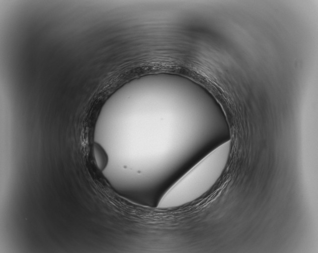 X0000096220771200801181029